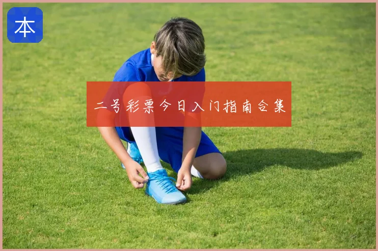 二号彩票今日入门指南合集